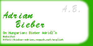 adrian bieber business card